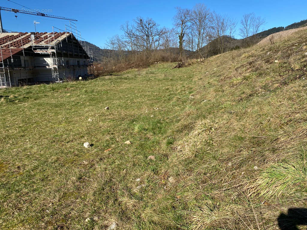 Terrain à RUPT-SUR-MOSELLE