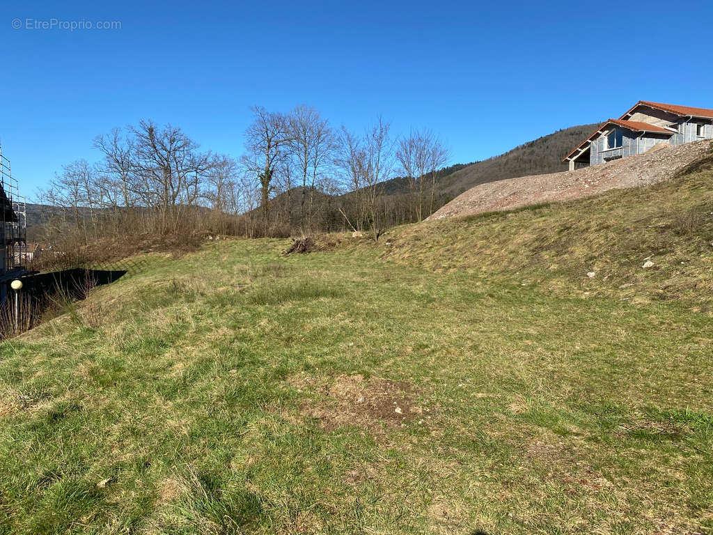 Terrain à RUPT-SUR-MOSELLE