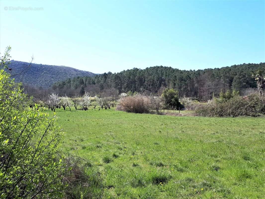 Terrain à SAINT-PAUL-LE-JEUNE