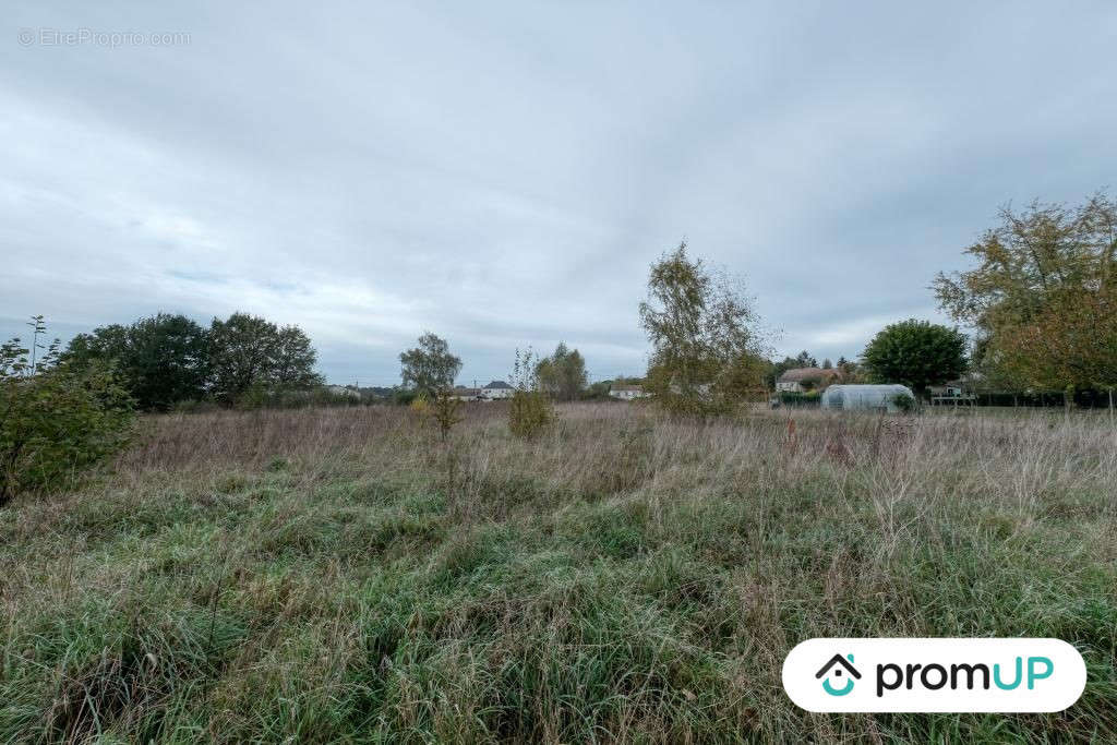 Terrain à LES BORDES