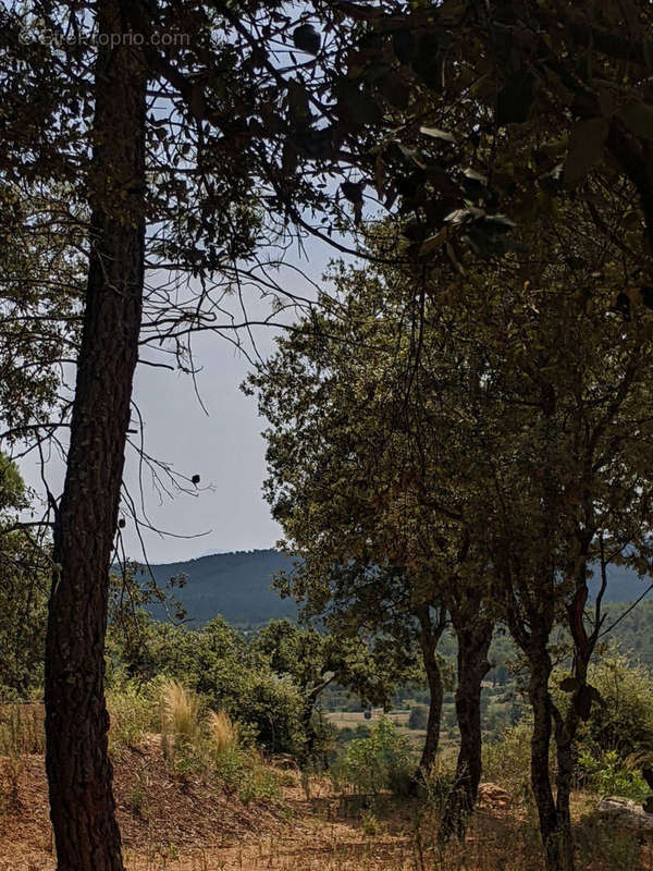 Terrain à MOISSAC-BELLEVUE