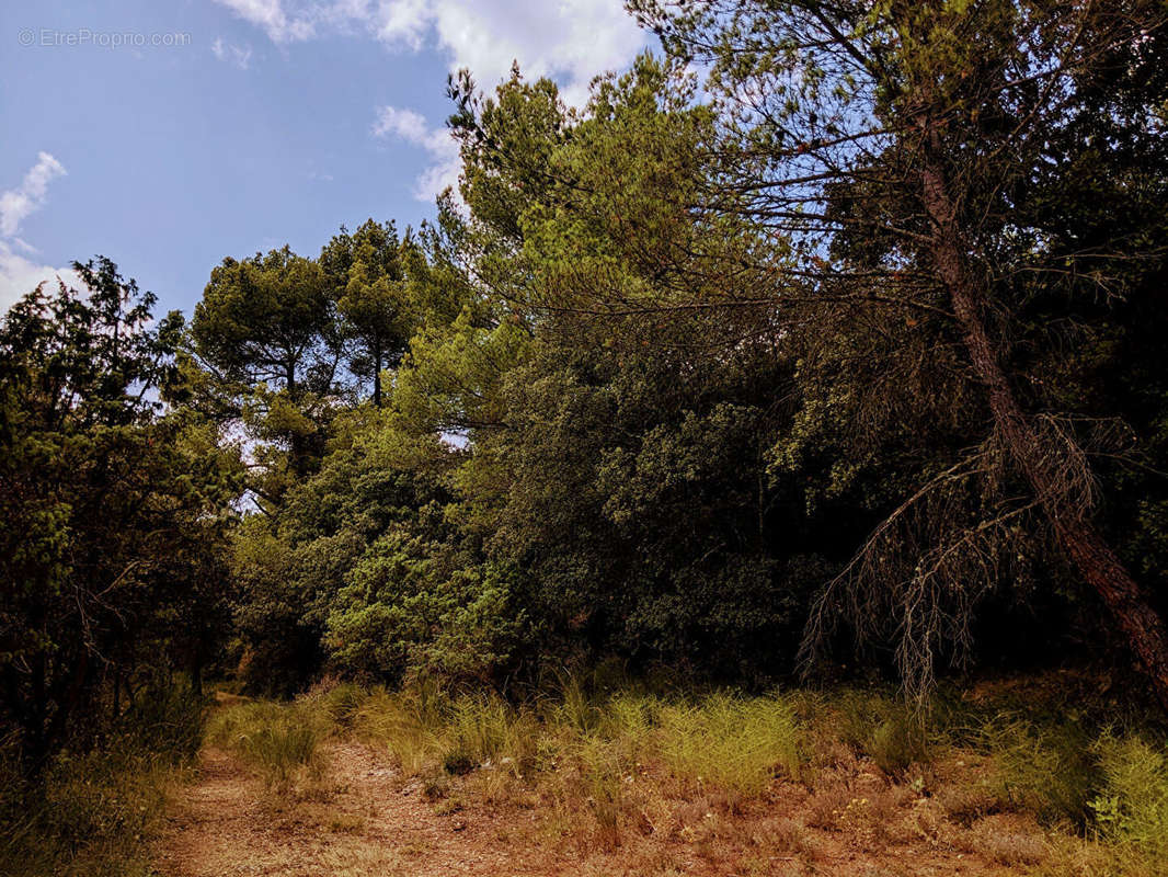 Terrain à MOISSAC-BELLEVUE