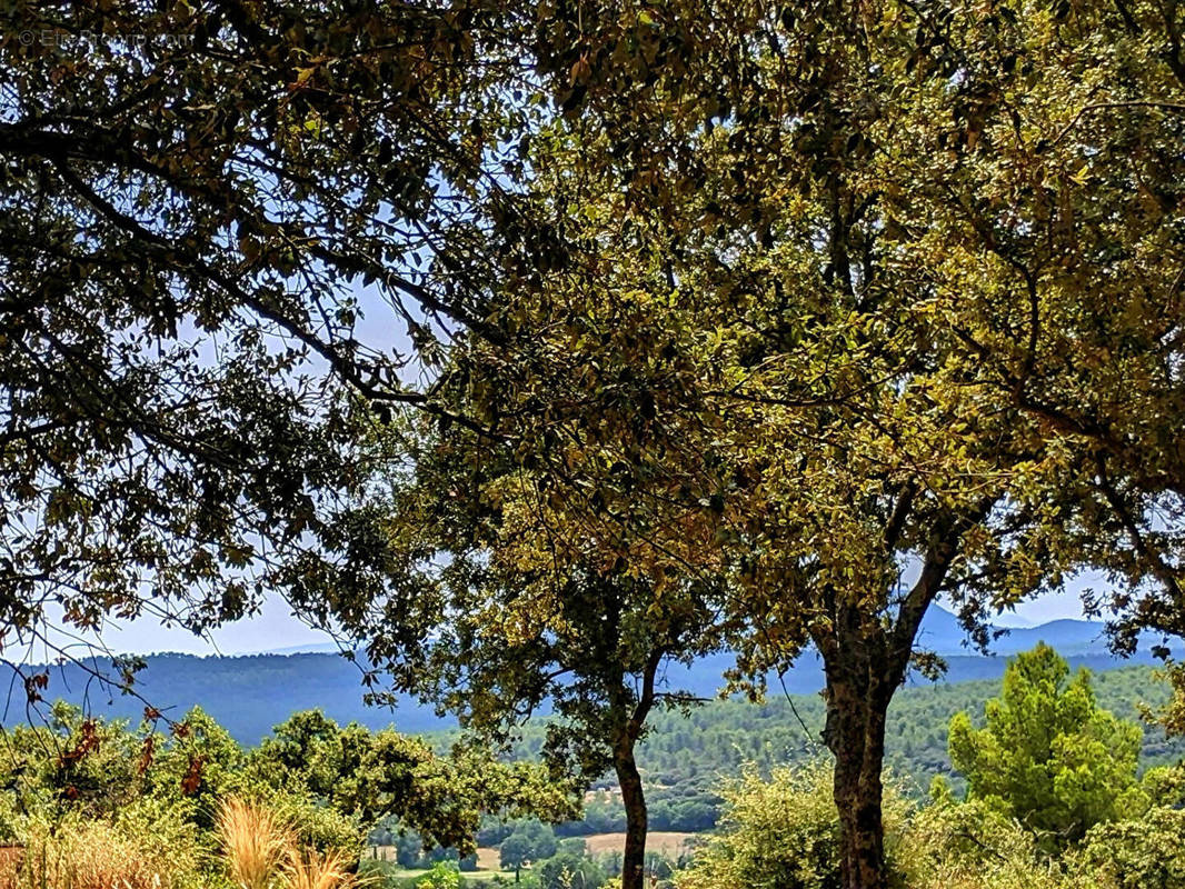 Terrain à MOISSAC-BELLEVUE