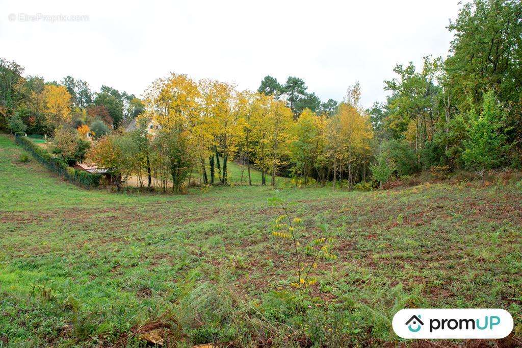 Terrain à SARLAT-LA-CANEDA