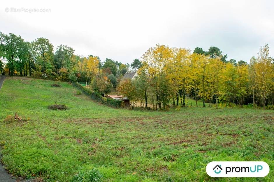 Terrain à SARLAT-LA-CANEDA