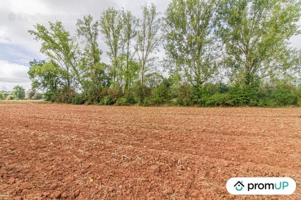 Terrain à CHERVEIX-CUBAS