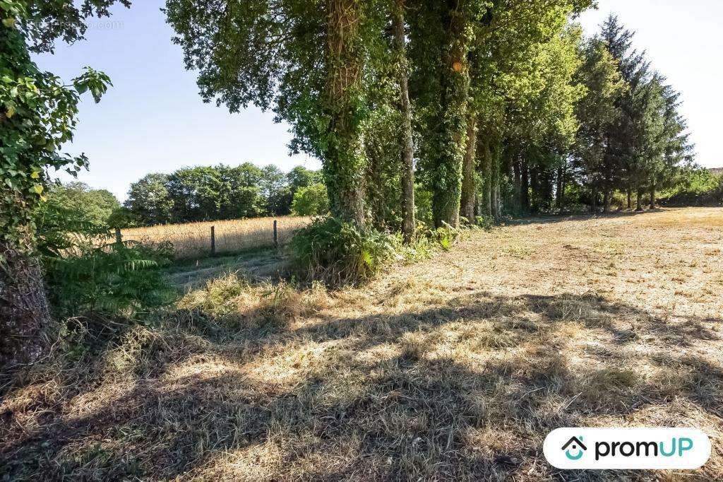 Terrain à SAINT-MAURICE-LA-SOUTERRAINE