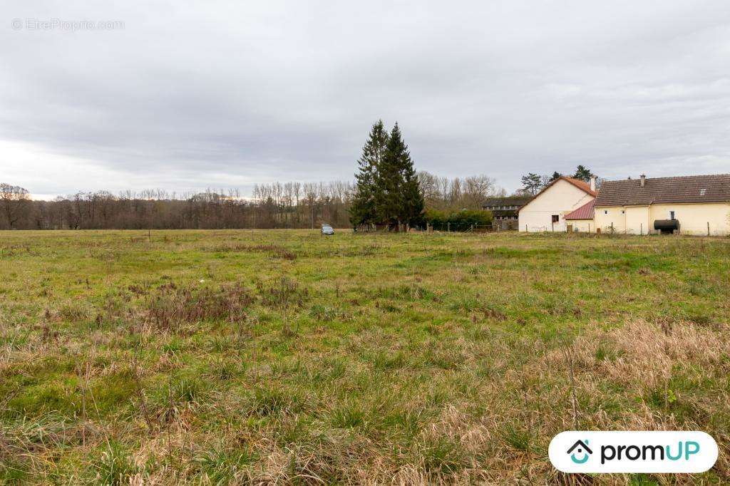 Terrain à FROHEN-LE-GRAND