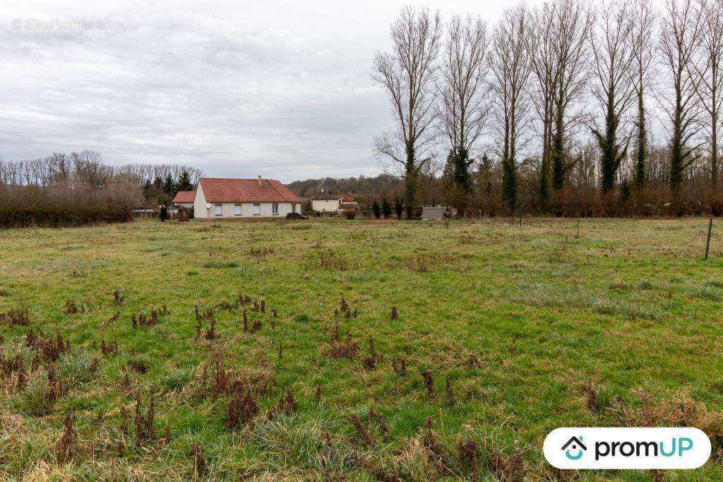 Terrain à FROHEN-LE-GRAND