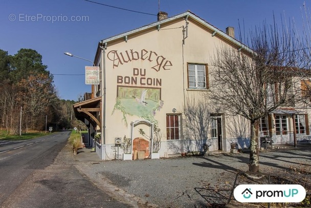 Commerce à MAURENS