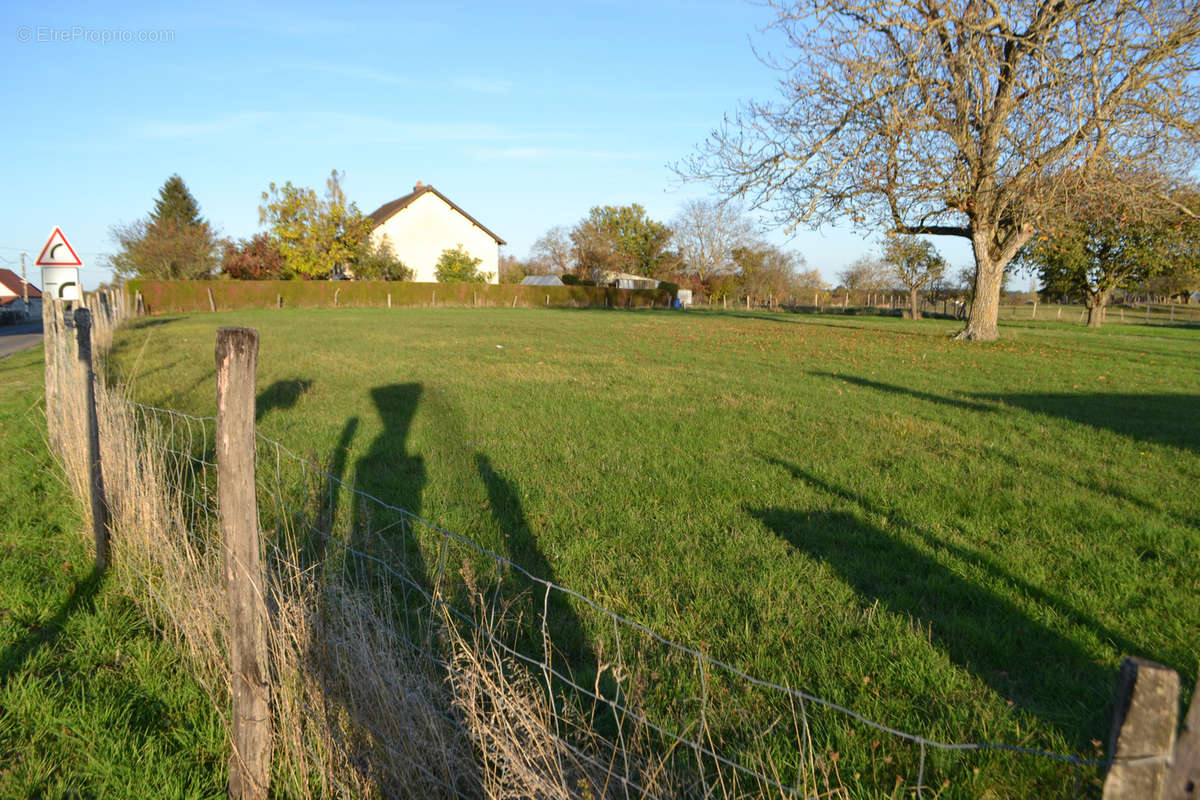 Terrain à TRETEAU