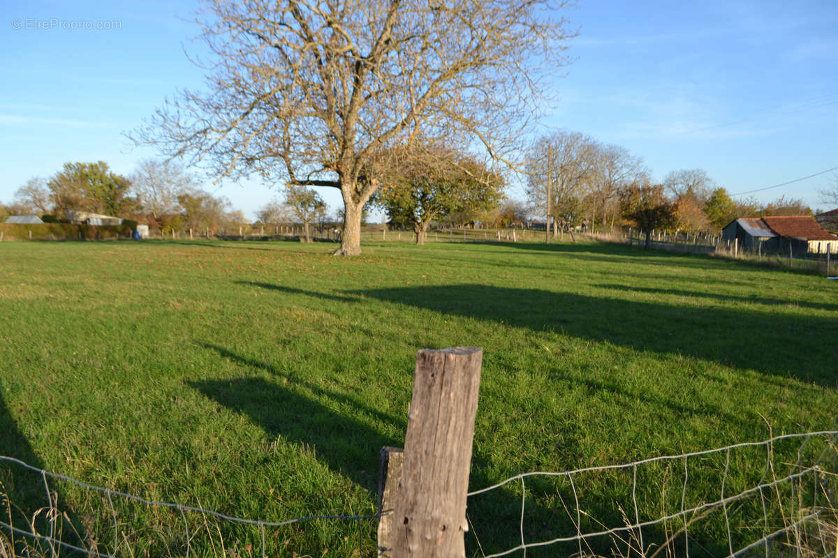 Terrain à TRETEAU