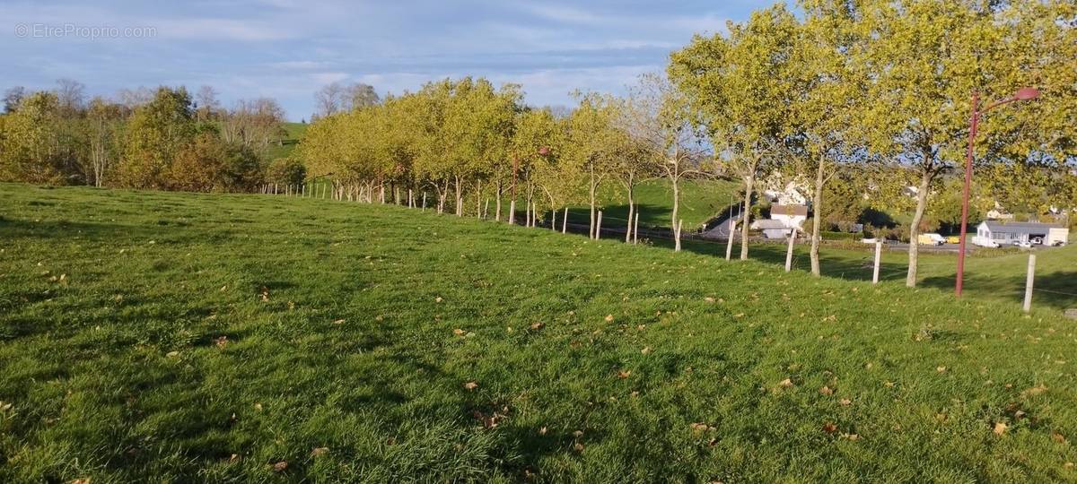 Terrain à MAURIAC