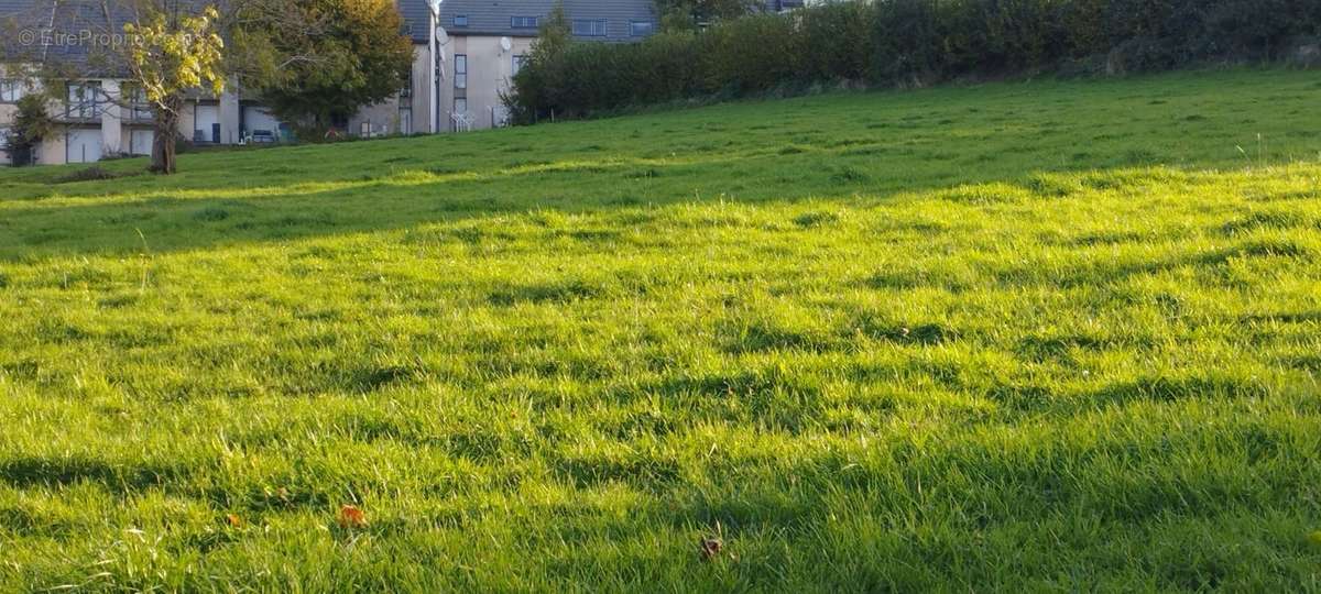 Terrain à MAURIAC