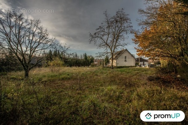 Terrain à VIERZON