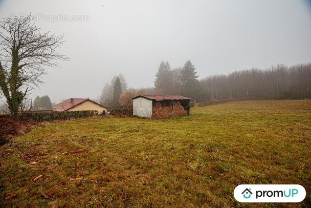 Terrain à PAGEAS