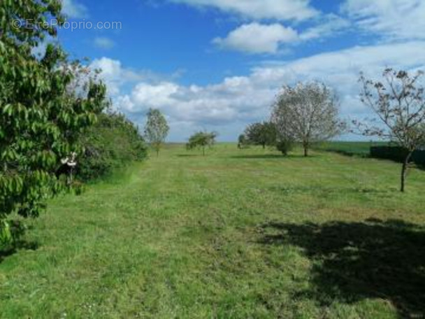 Autre à SAINT-FARGEAU-PONTHIERRY