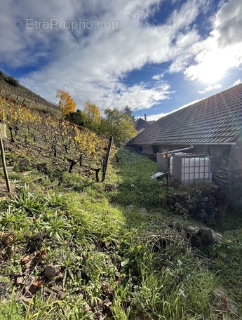 Appartement à THANN