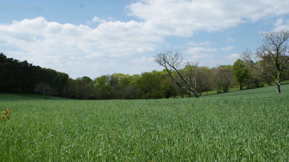 Terrain à BEYNAT