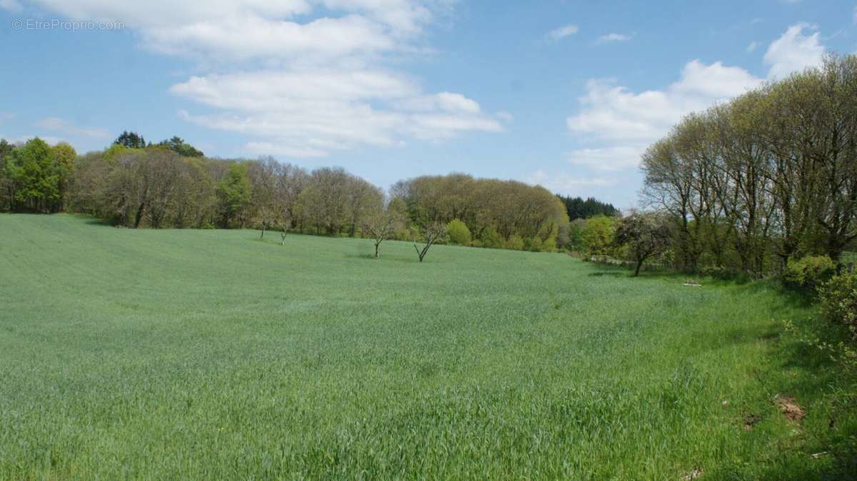 Terrain à BEYNAT