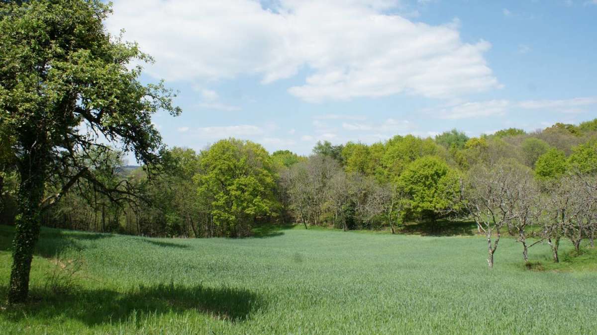 Terrain à BEYNAT