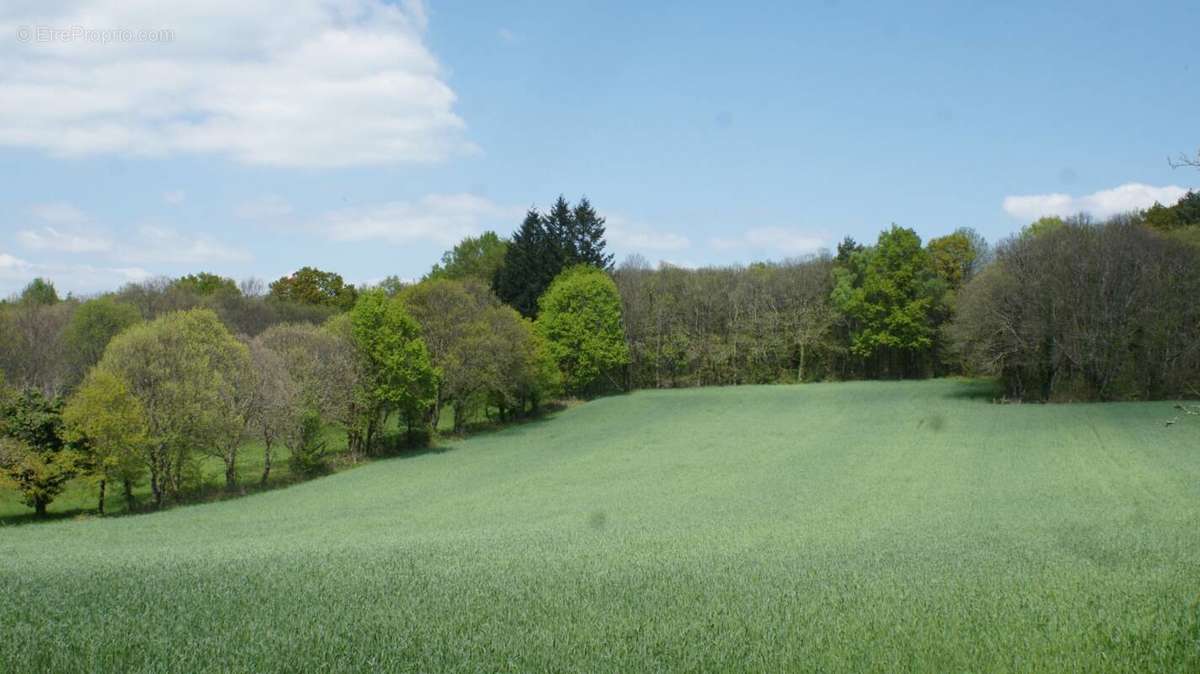 Terrain à BEYNAT