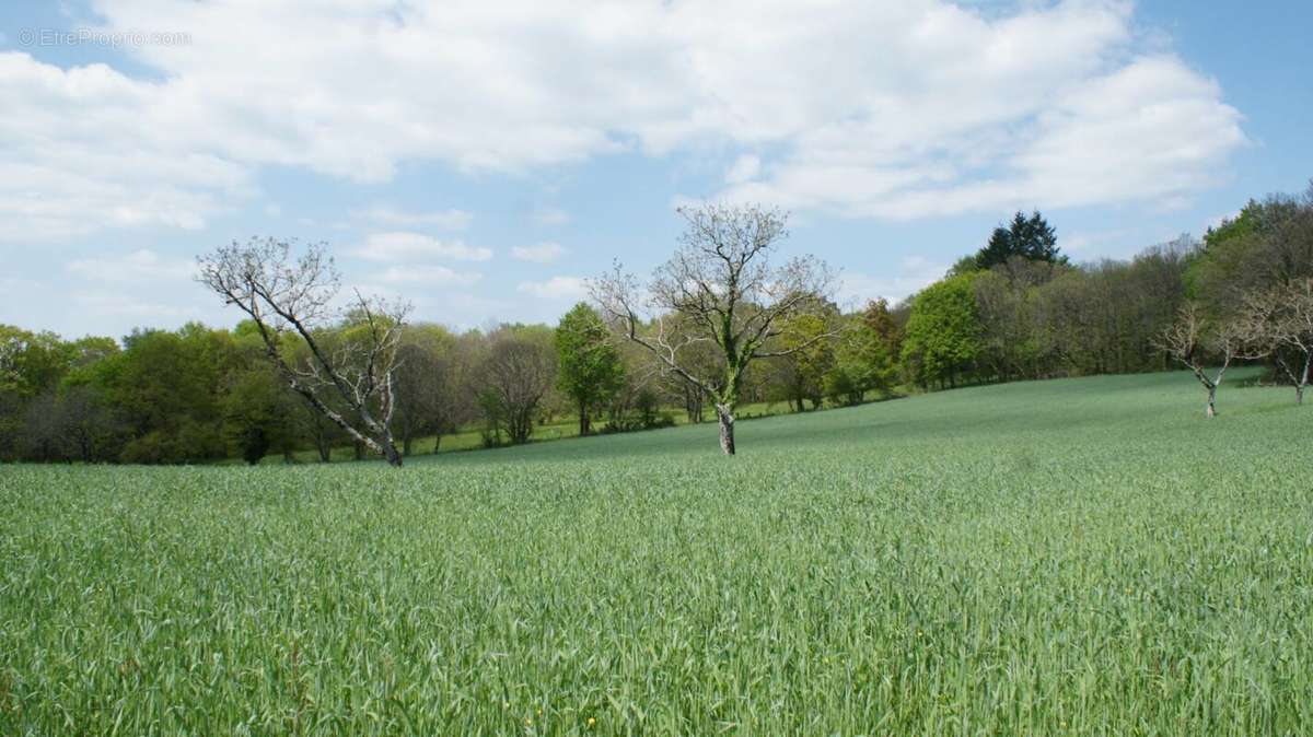 Terrain à BEYNAT