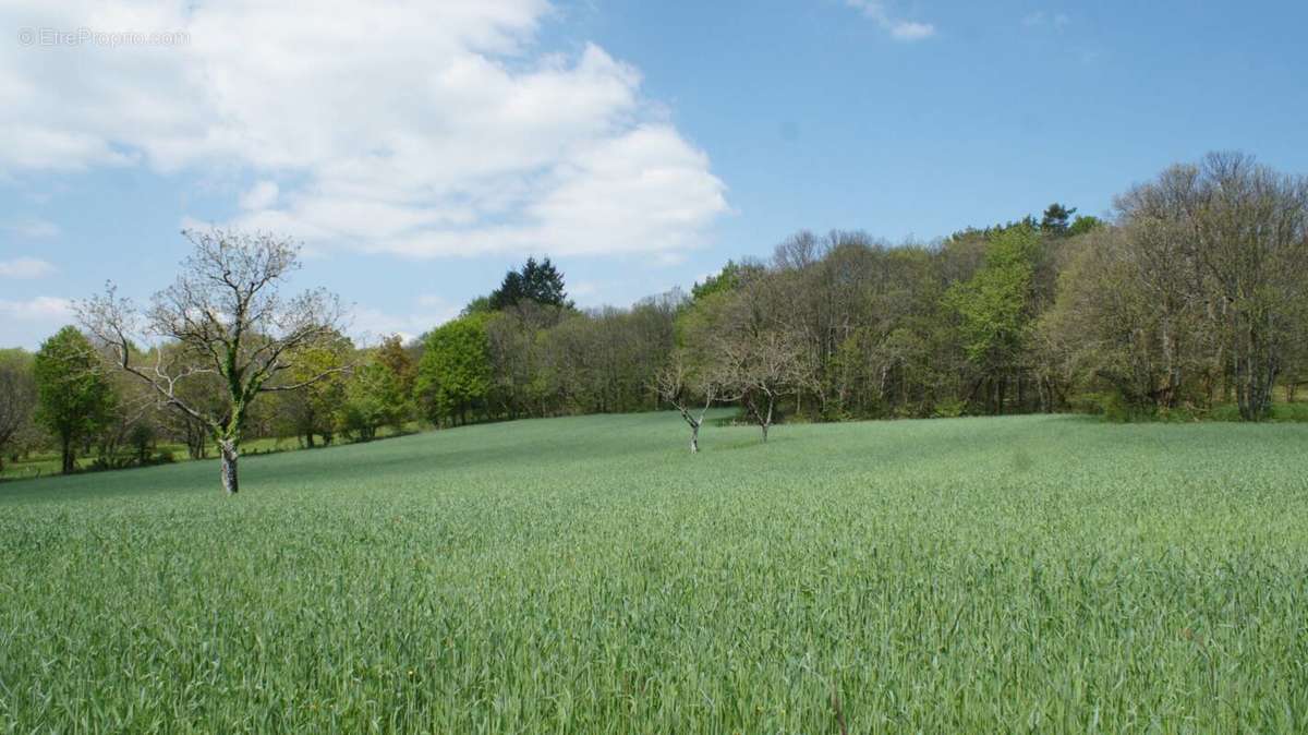 Terrain à BEYNAT