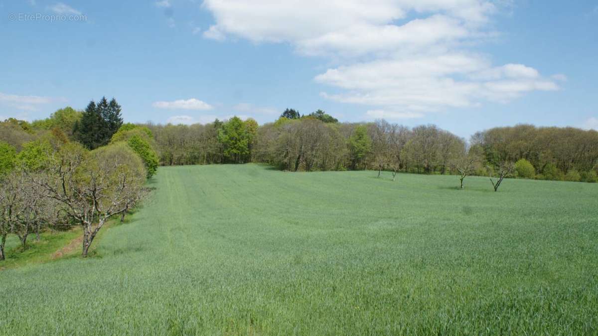 Terrain à BEYNAT