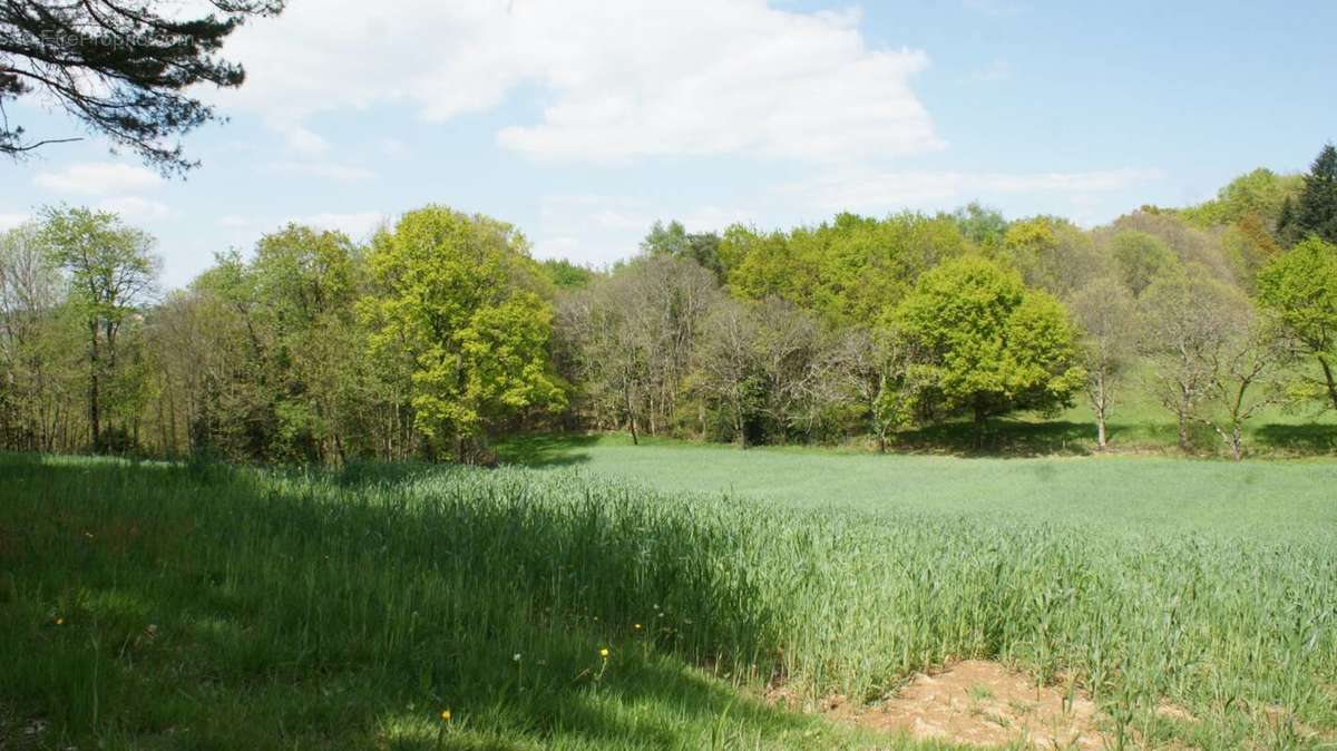 Terrain à BEYNAT