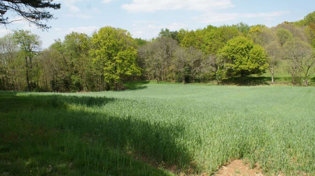 Terrain à BEYNAT