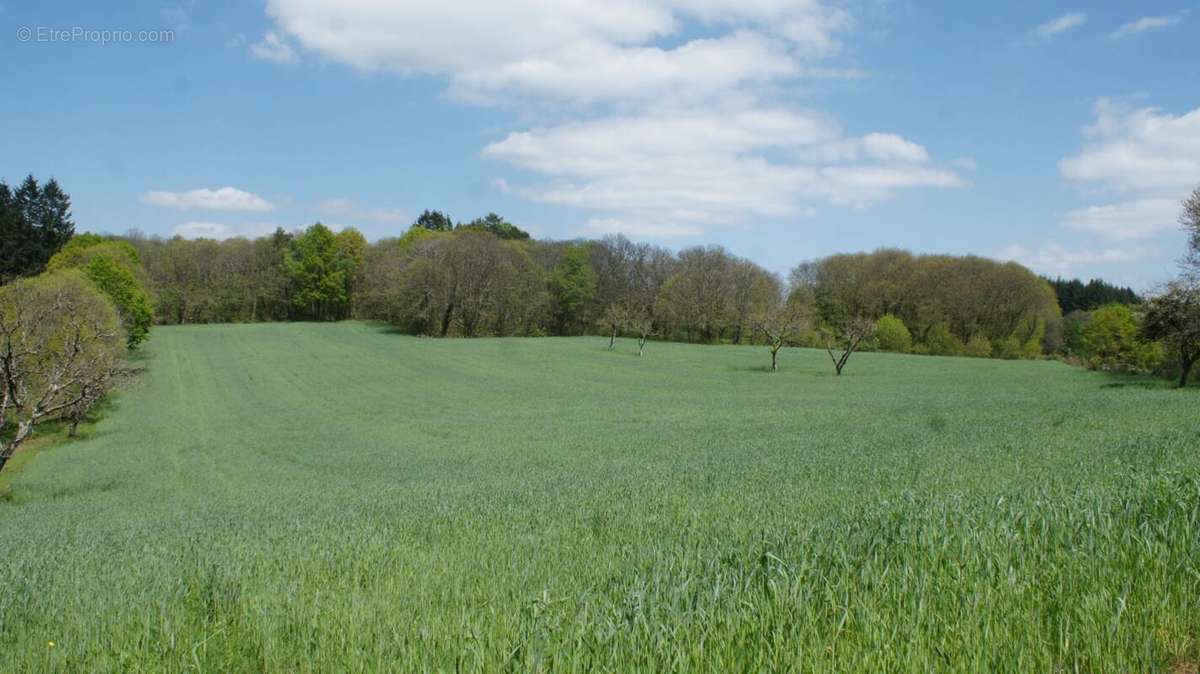 Terrain à BEYNAT