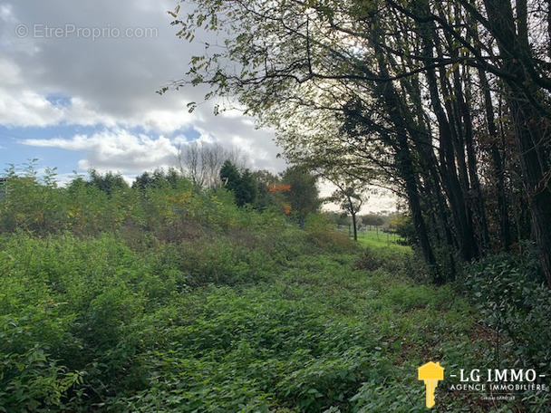 Terrain à SAINT-THOMAS-DE-CONAC