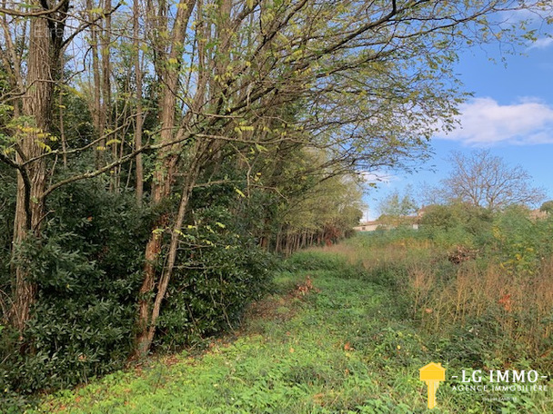 Terrain à SAINT-THOMAS-DE-CONAC