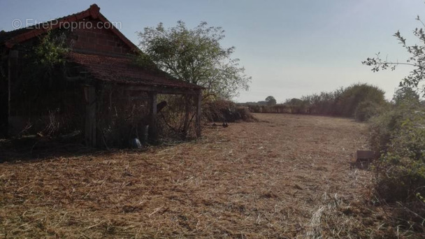 Autre à SAINT-POURCAIN-SUR-SIOULE