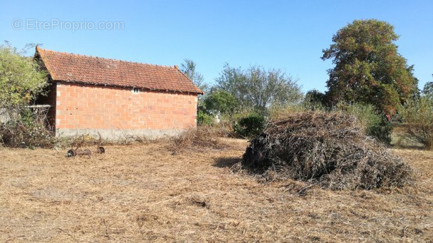 Autre à SAINT-POURCAIN-SUR-SIOULE