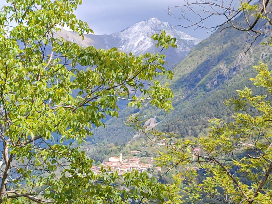 Terrain à LA BOLLENE-VESUBIE