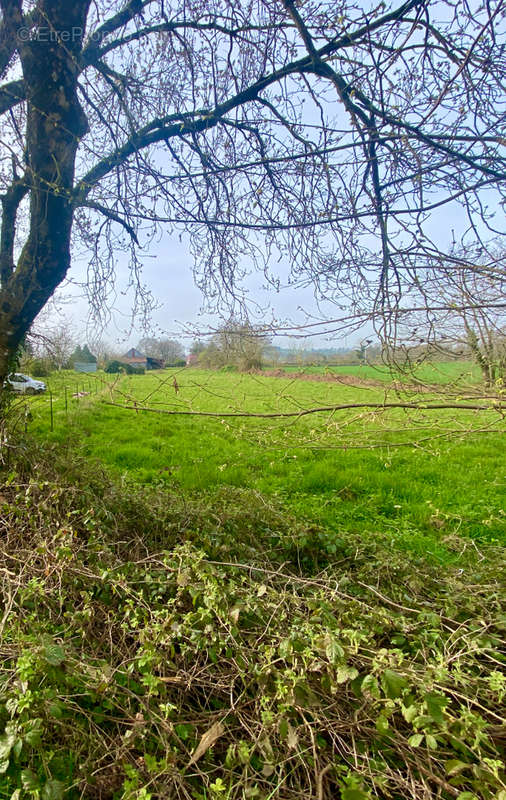 Terrain à CHAMPGENETEUX