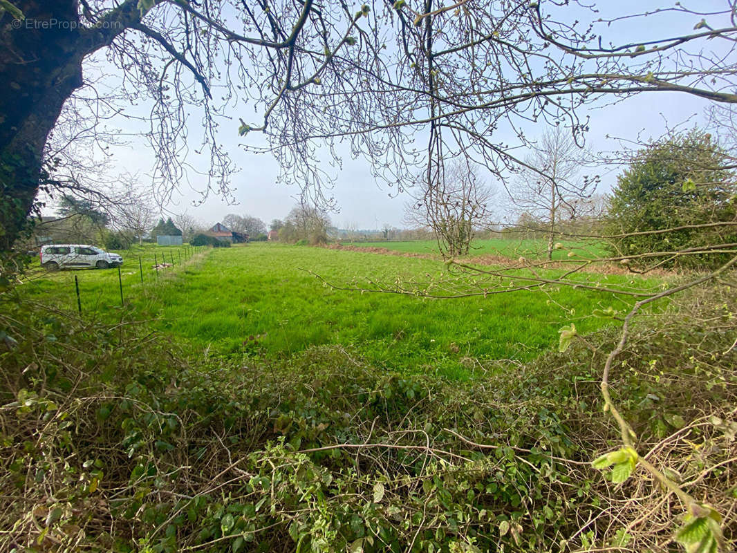 Terrain à CHAMPGENETEUX