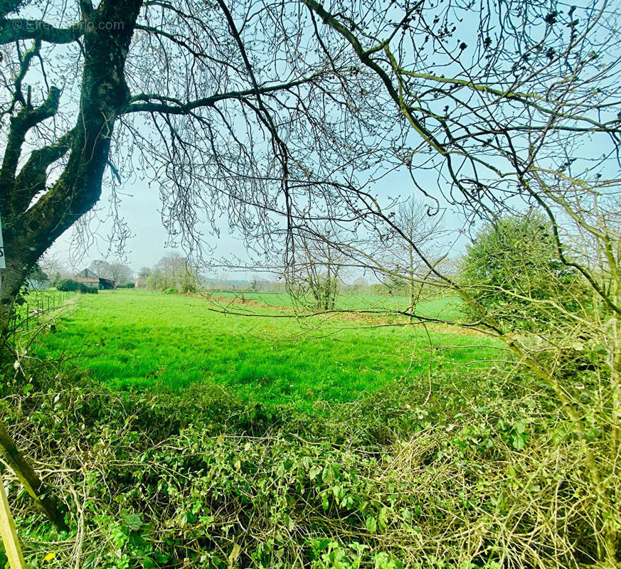 Terrain à CHAMPGENETEUX