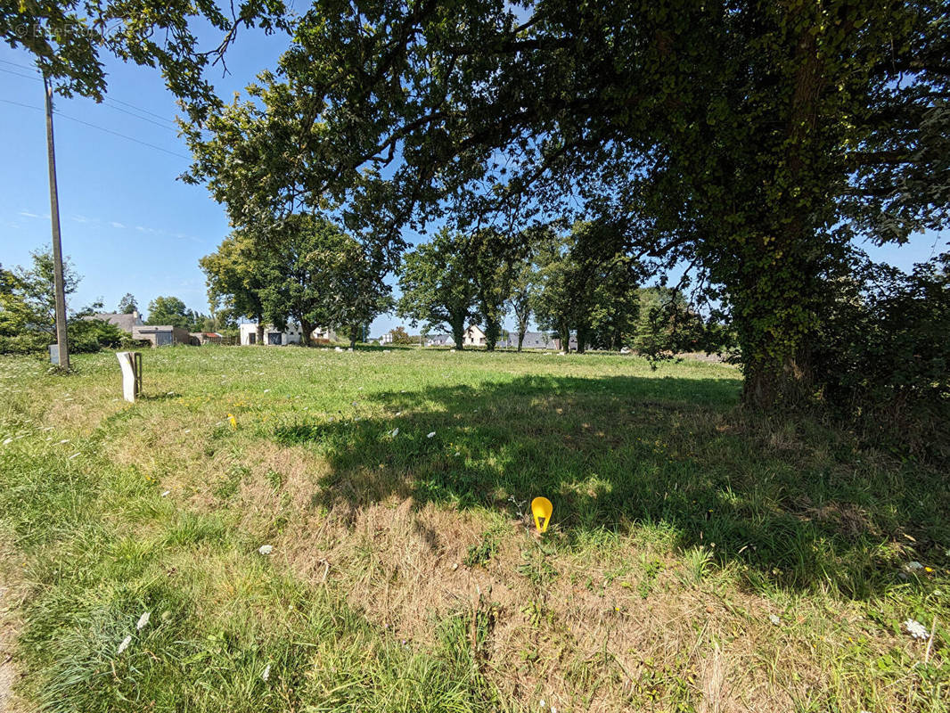 Terrain à SAINT-DOLAY