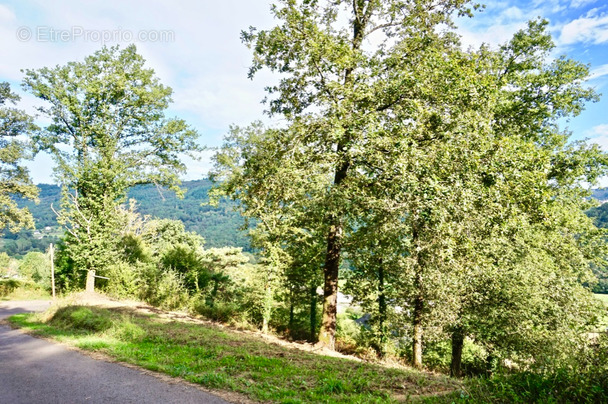 Terrain à SAINT-HILAIRE-PEYROUX