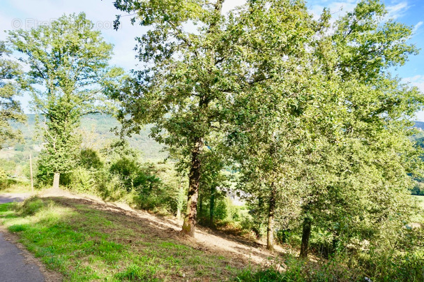 Terrain à SAINT-HILAIRE-PEYROUX