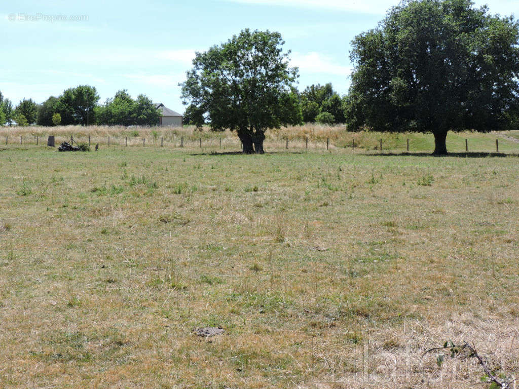 Terrain à BRIONNE