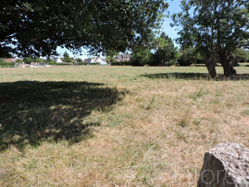 Terrain à BRIONNE