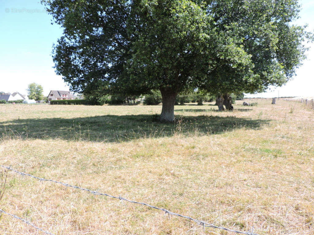 Terrain à BRIONNE