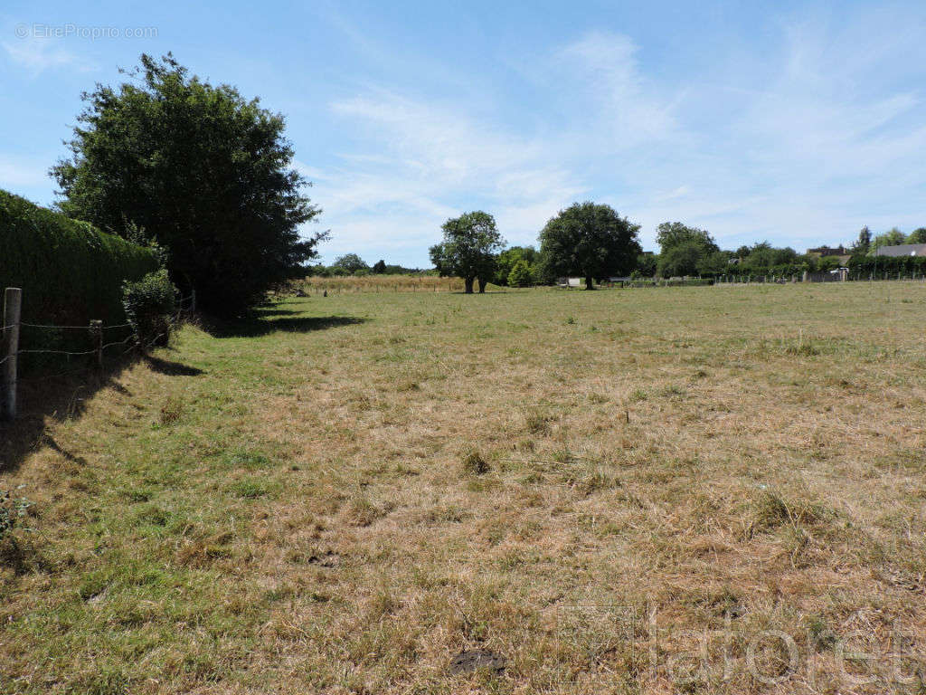 Terrain à BRIONNE