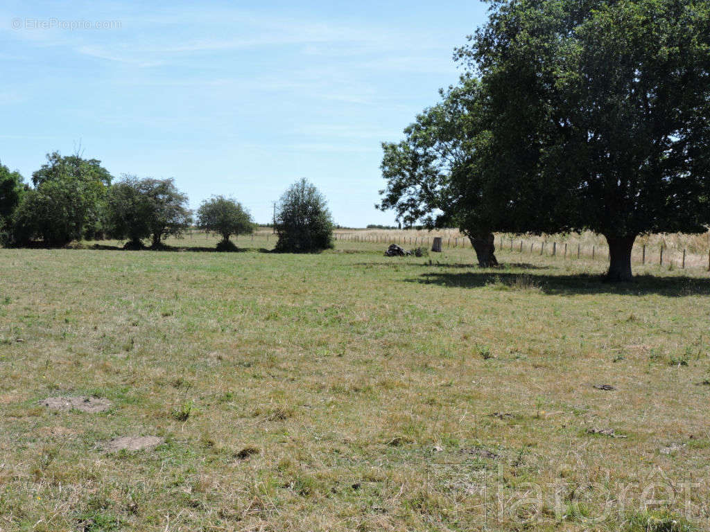 Terrain à BRIONNE