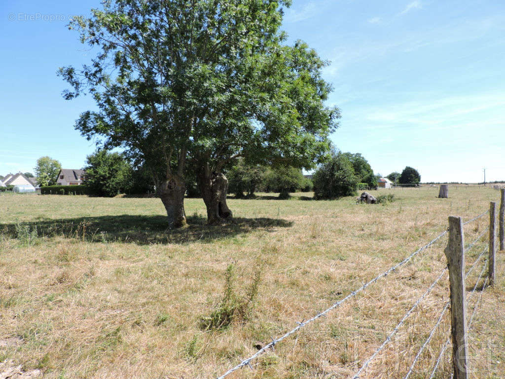 Terrain à BRIONNE