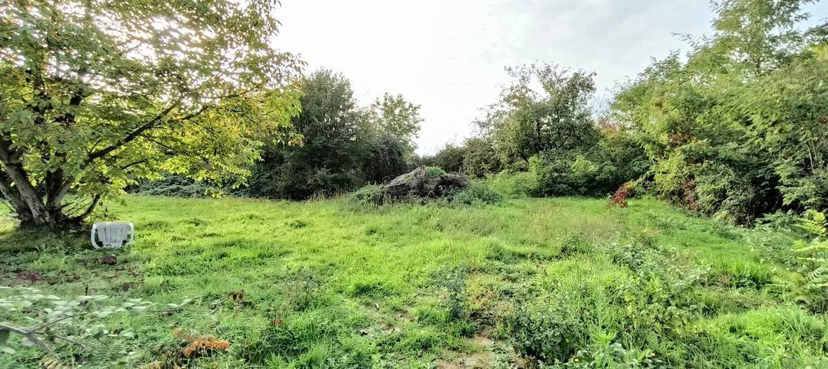 Terrain à SAINT-NIZIER-LE-BOUCHOUX